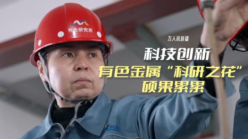 免费OA办公系统：揭秘其优缺点与适用场景**